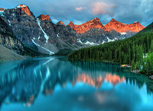 《集合啦！动物森友会》攻略中心